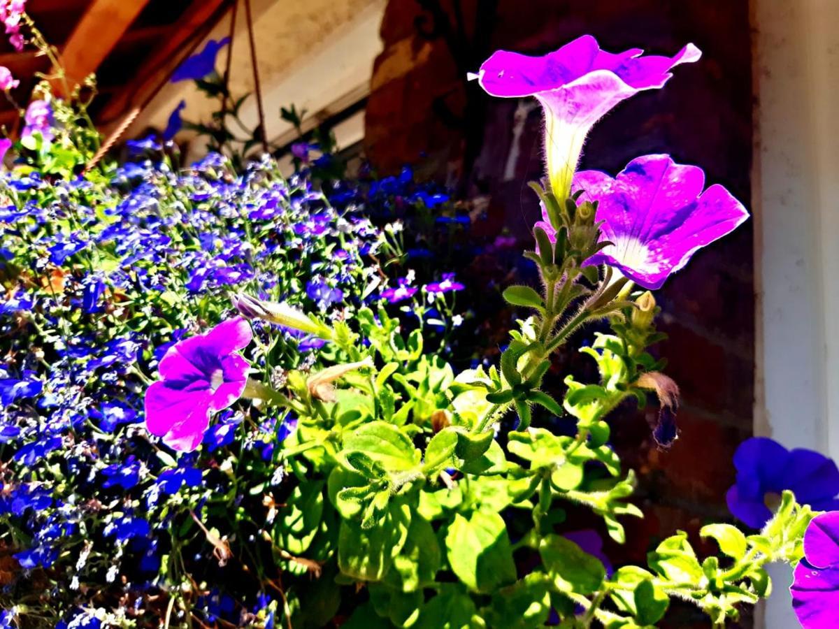 Apartamento Les Terrasses De Puys Dieppe Exterior foto